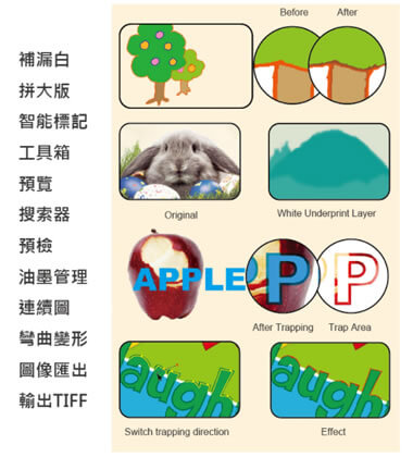 Pack# 目標用戶示意圖