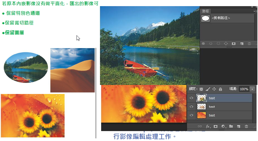 圖像匯出功能
